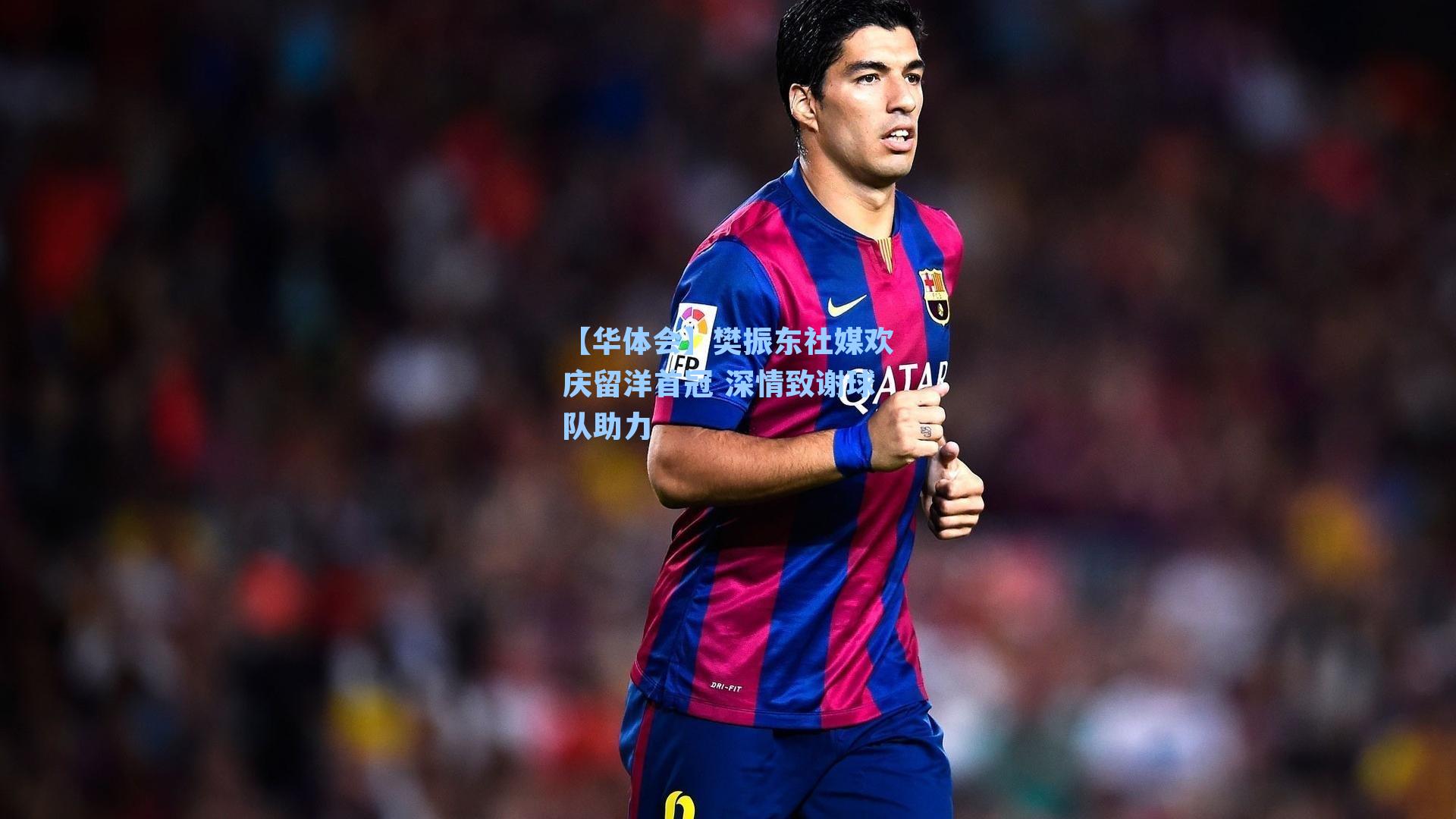 樊振东社媒欢庆留洋首冠 深情致谢球队助力