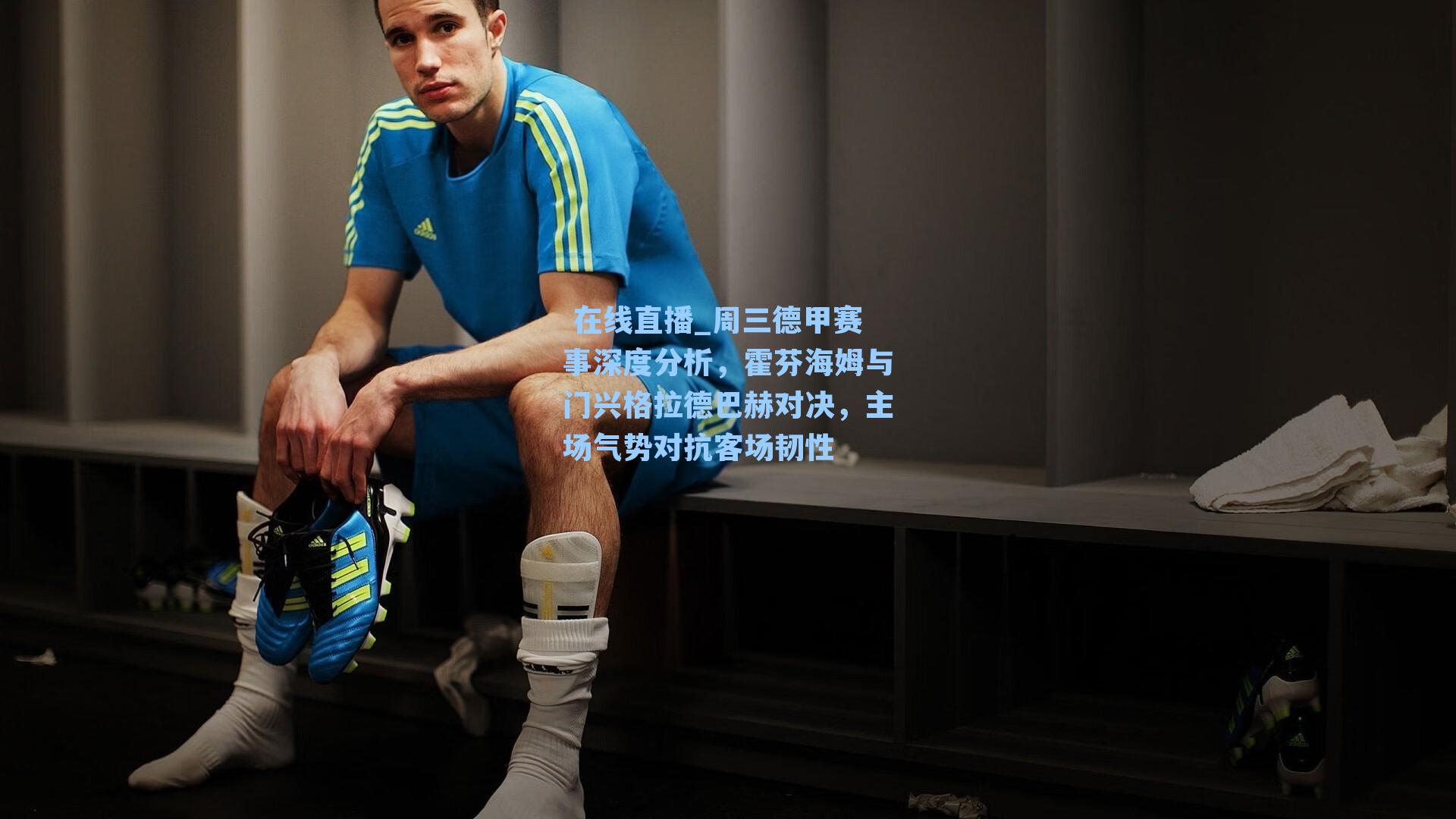 周三德甲赛事深度分析，霍芬海姆与门兴格拉德巴赫对决，主场气势对抗客场韧性
